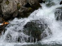 Detail einer Kaskade in der Rabisch Schlucht